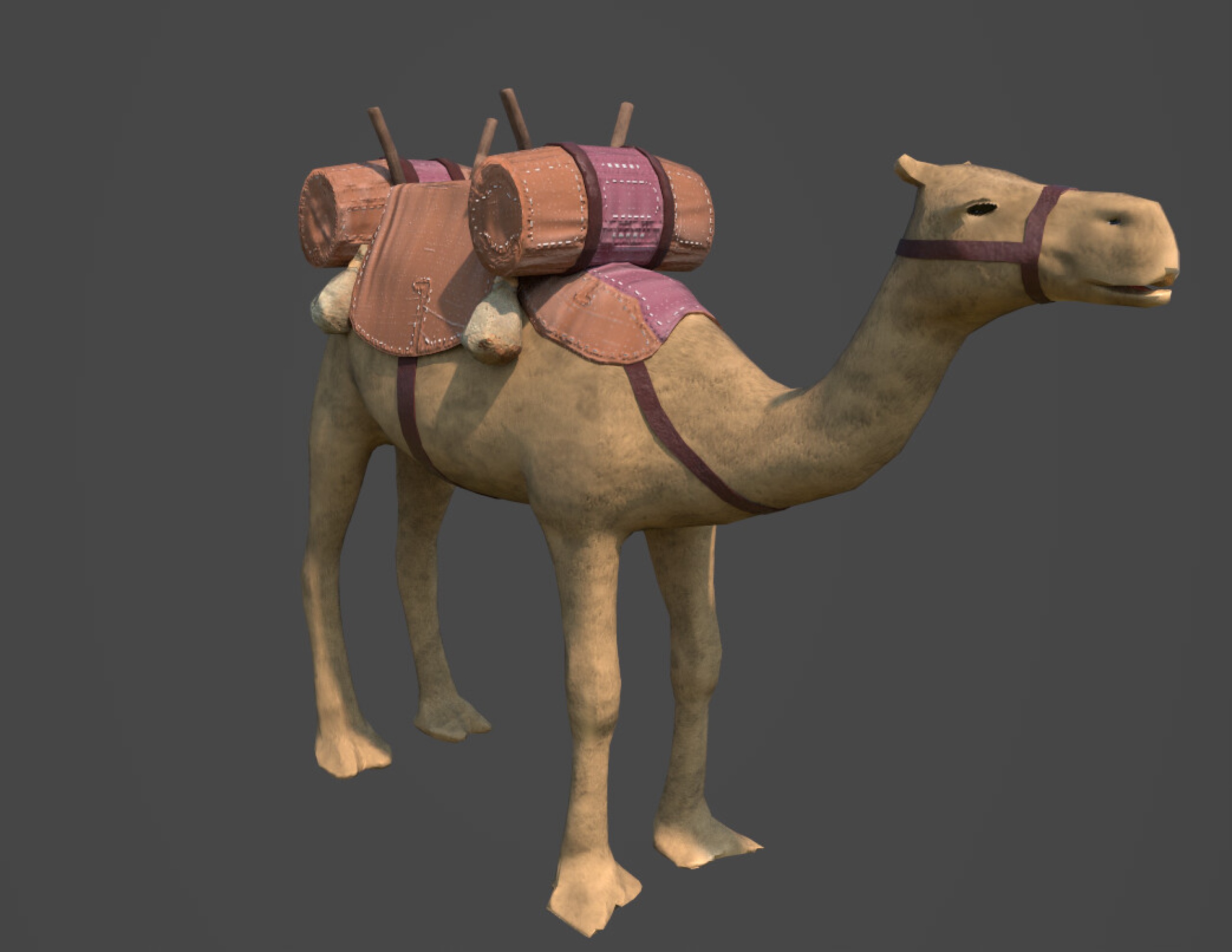 Camel