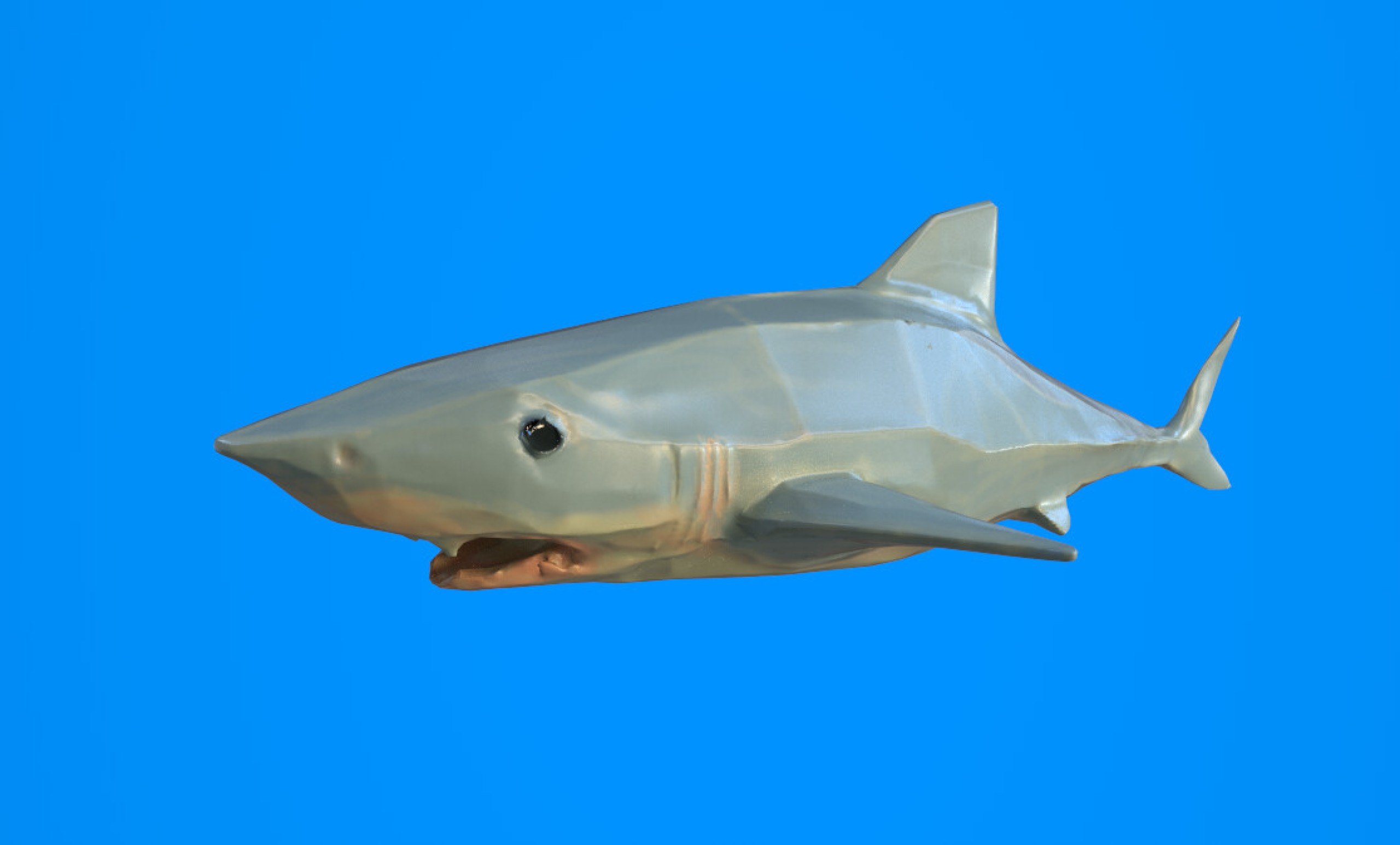 Low Poly cartoon shark